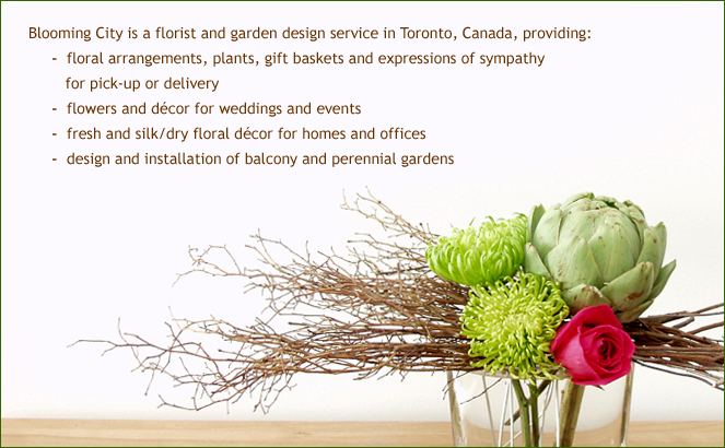 Home page with design image